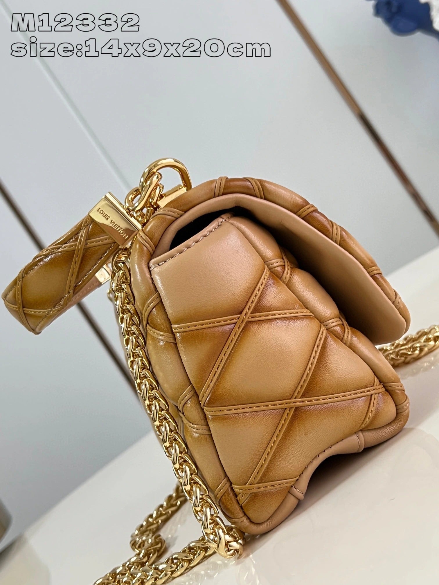 LOUIS VUITTON BAG