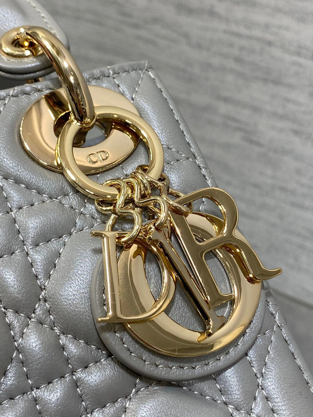 DIOR BAG