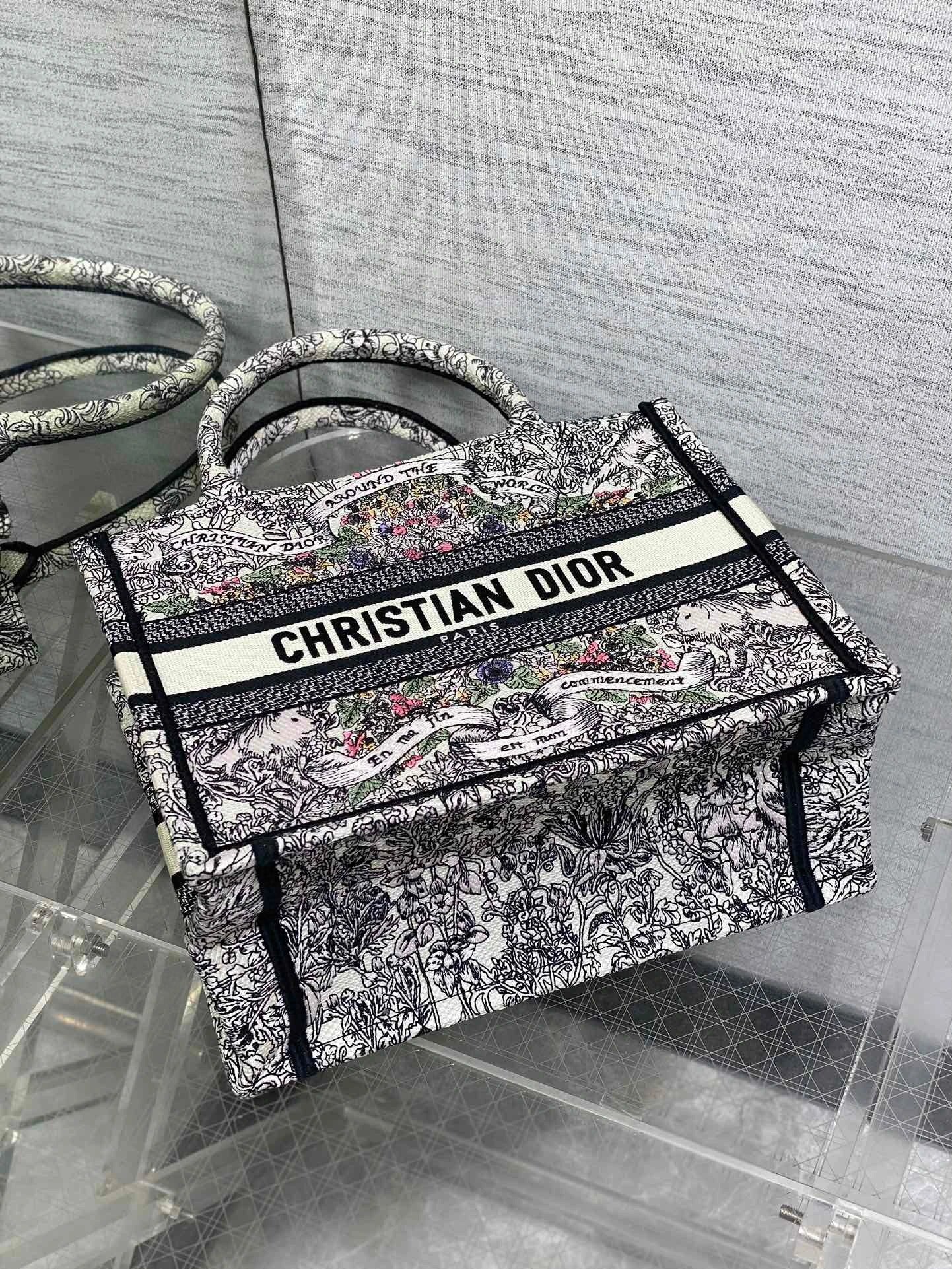 DIOR BAG