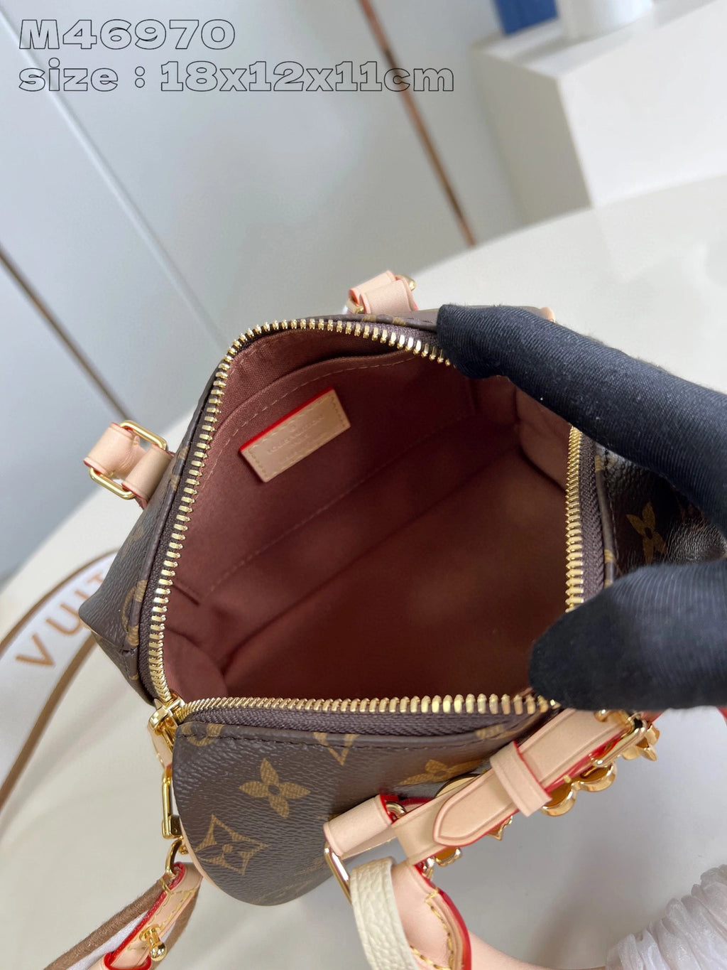 LOUIS VUITTON BAG