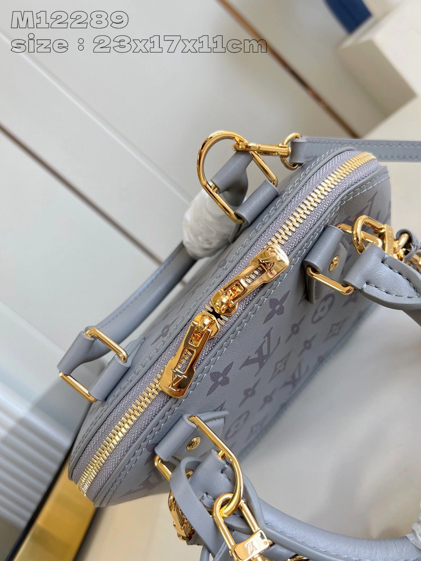 LOUIS VUITTON BAG