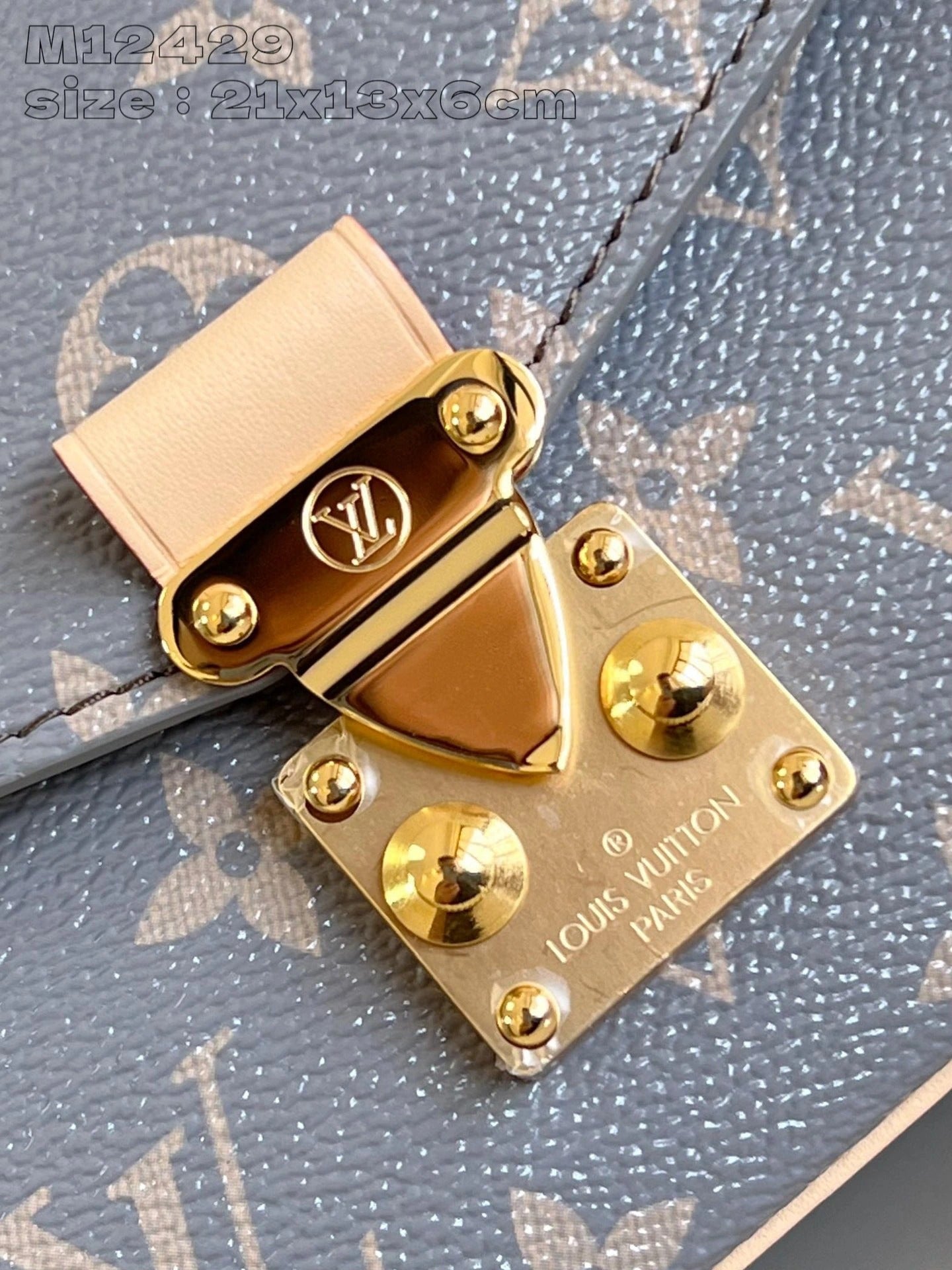 LOUIS VUITTON BAG