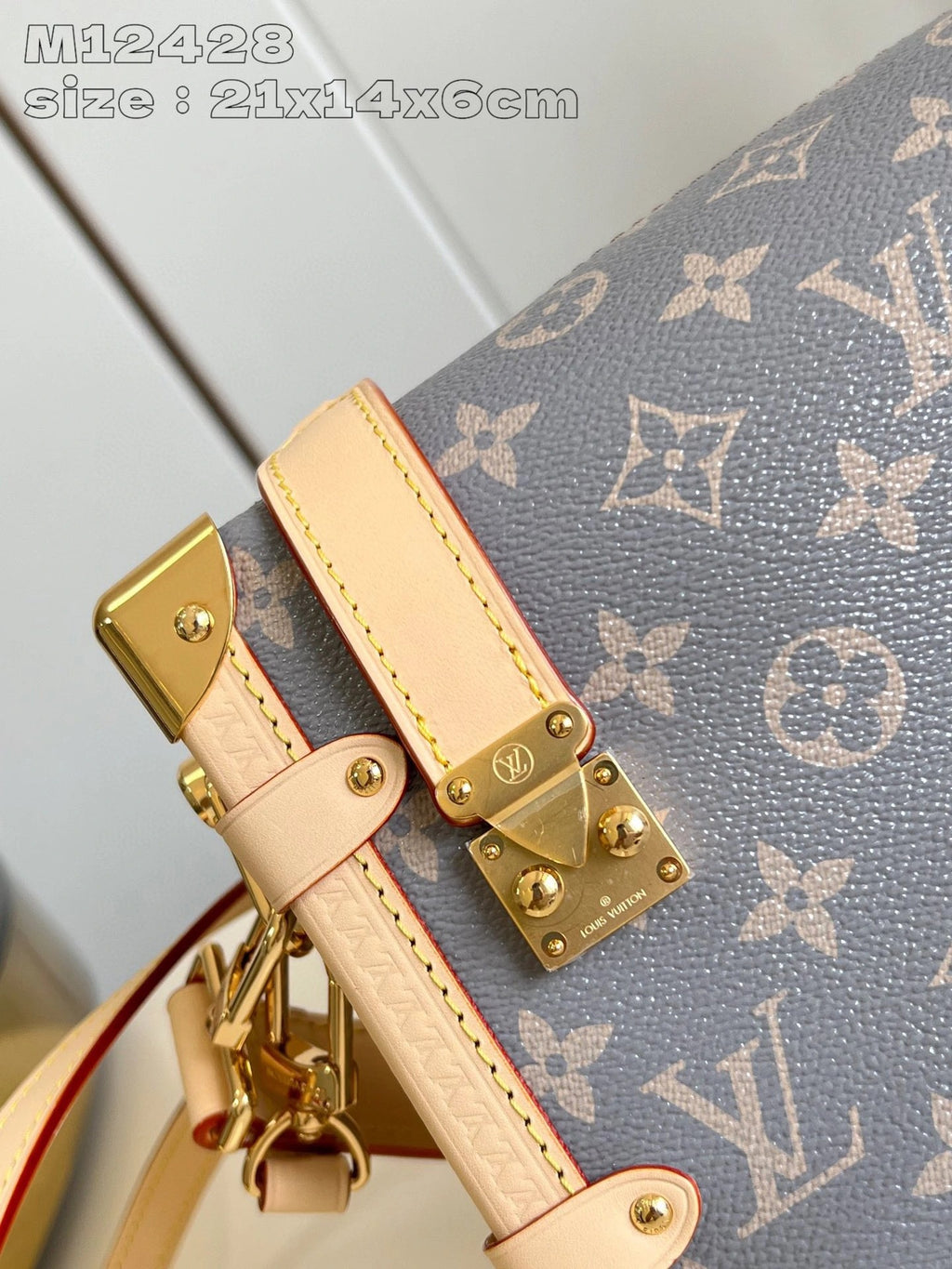 LOUIS VUITTON BAG