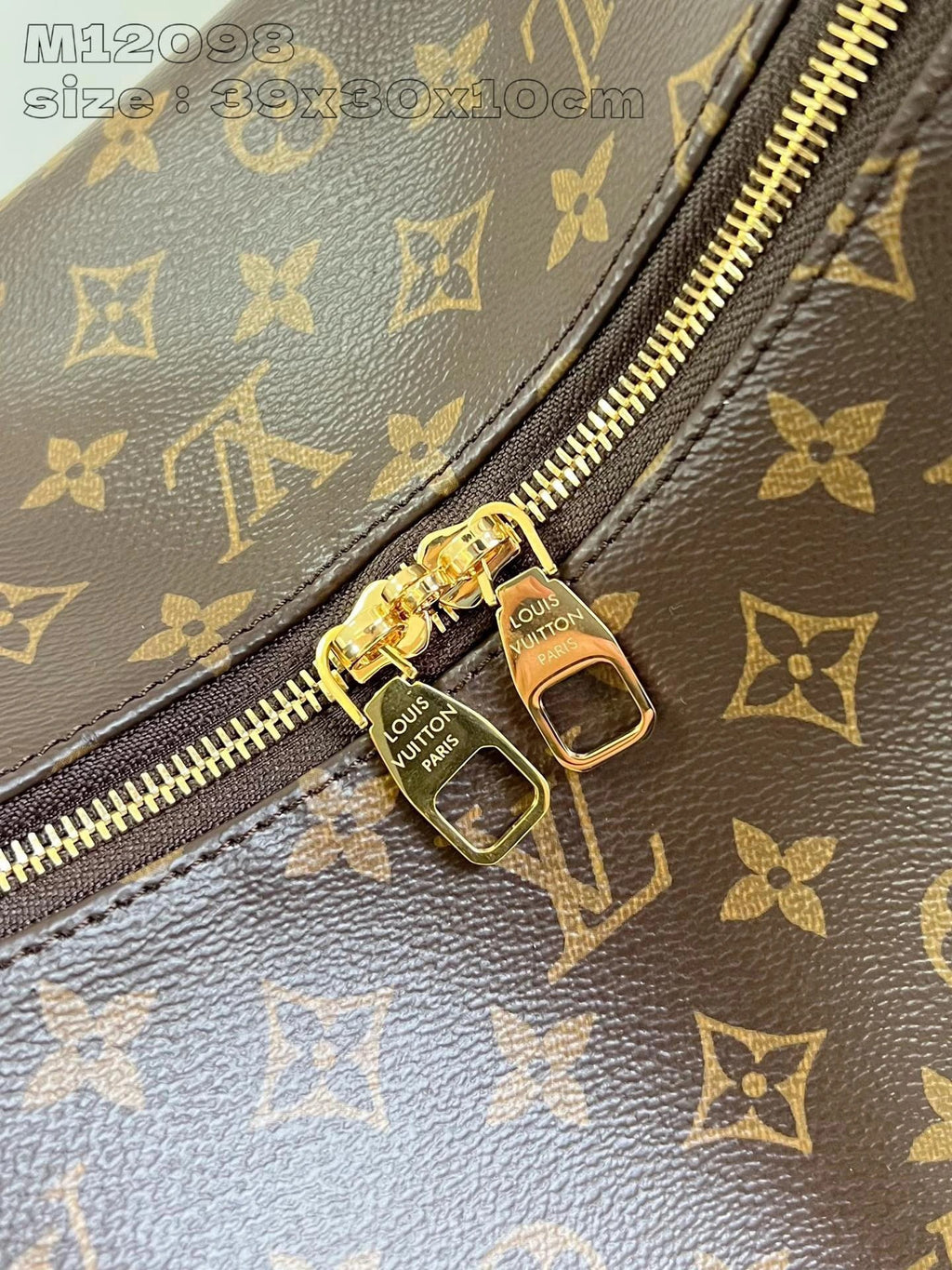 LOUIS VUITTON BAG