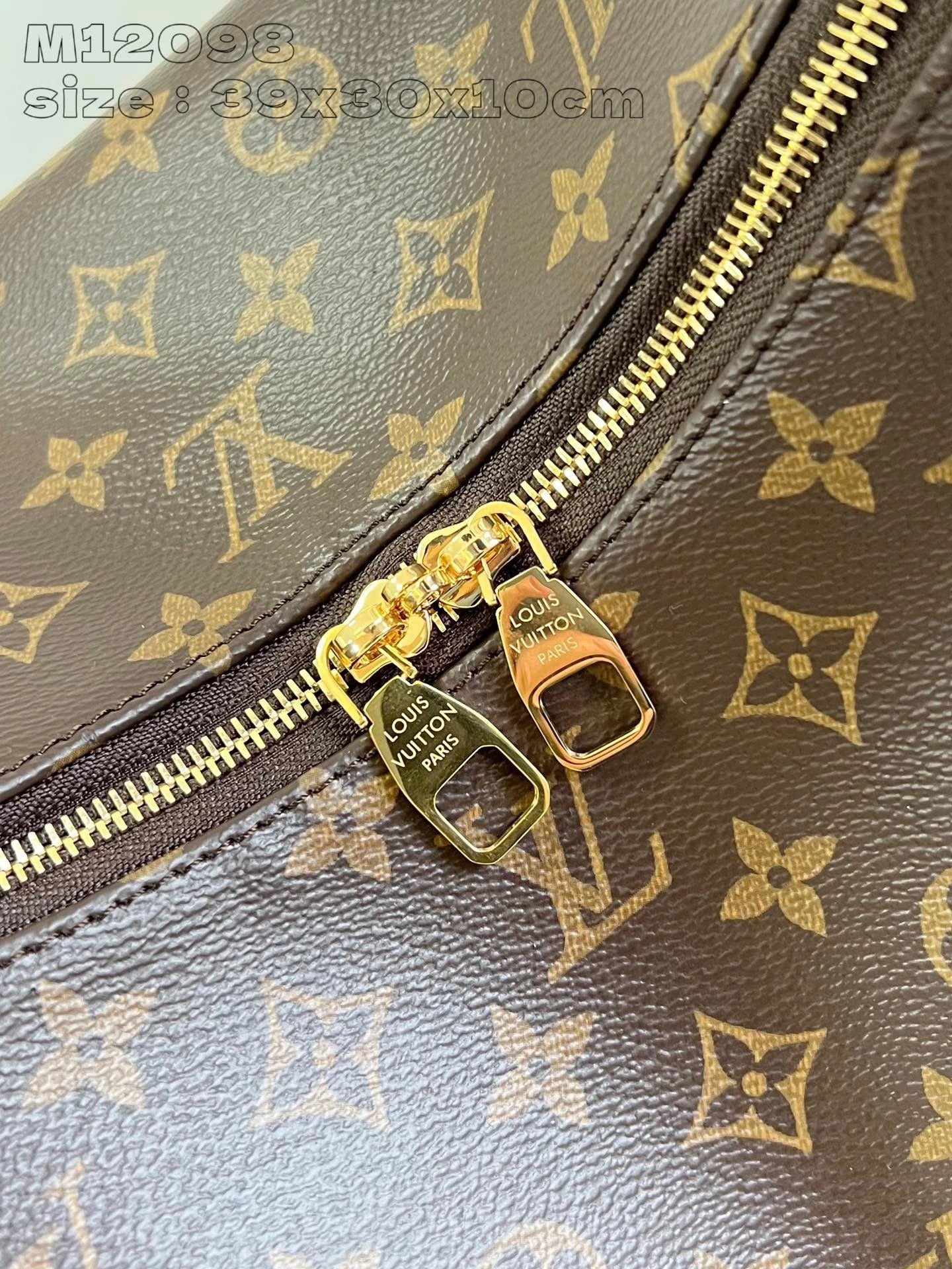 LOUIS VUITTON BAG