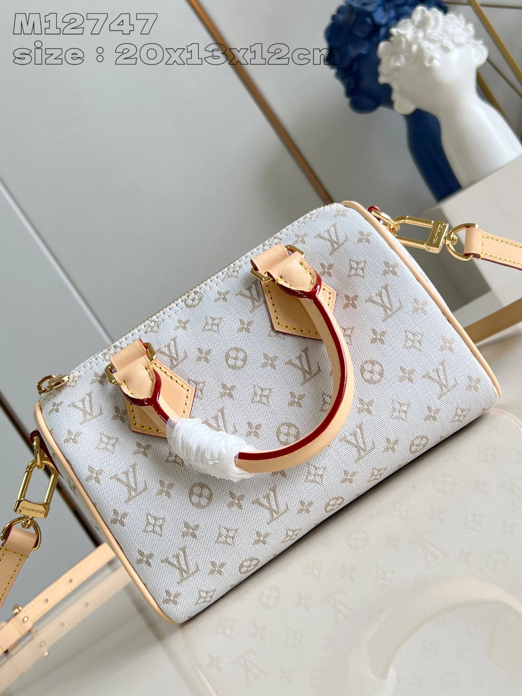 LOUIS VUITTON BAG