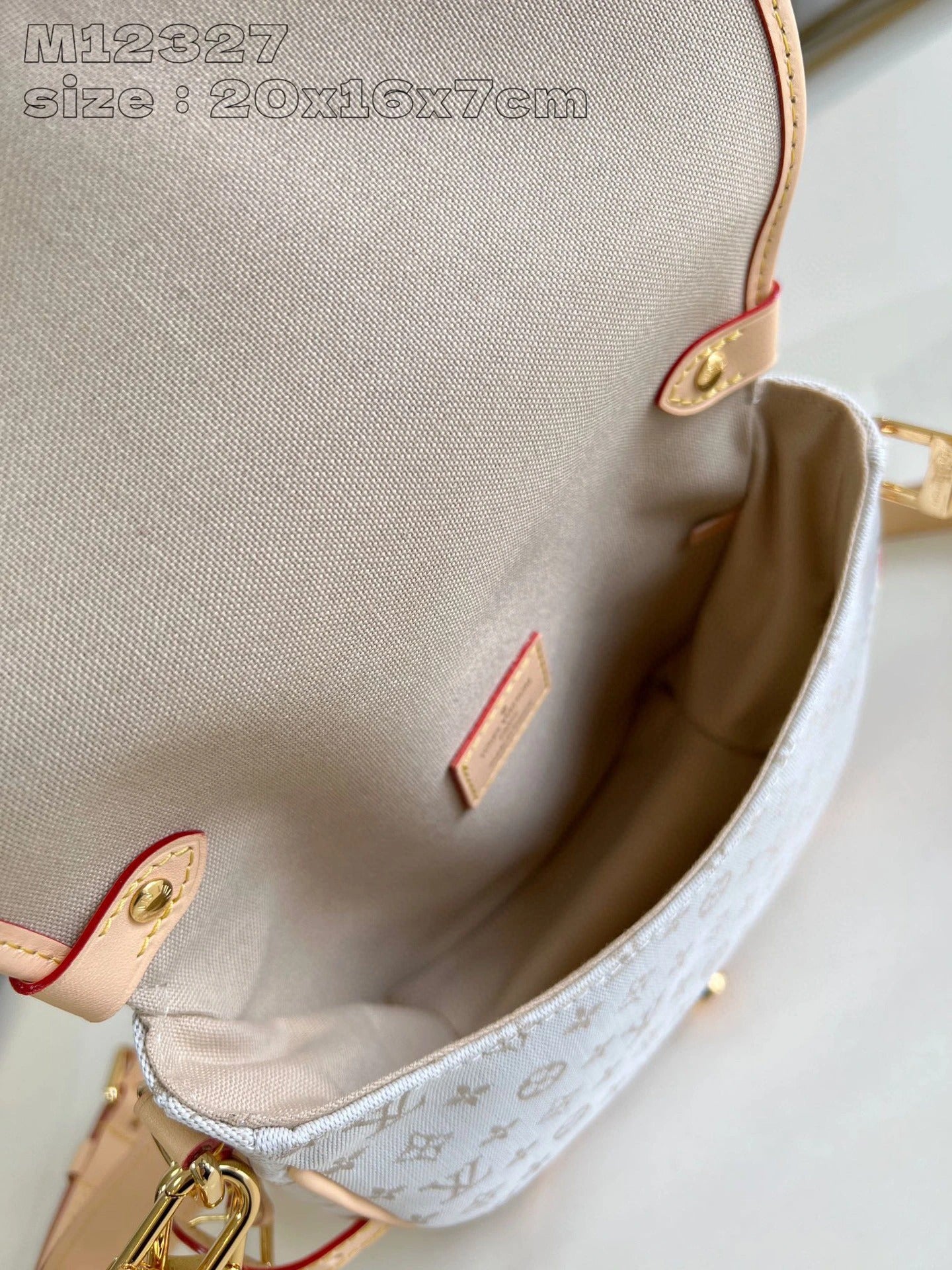 LOUIS VUITTON BAG