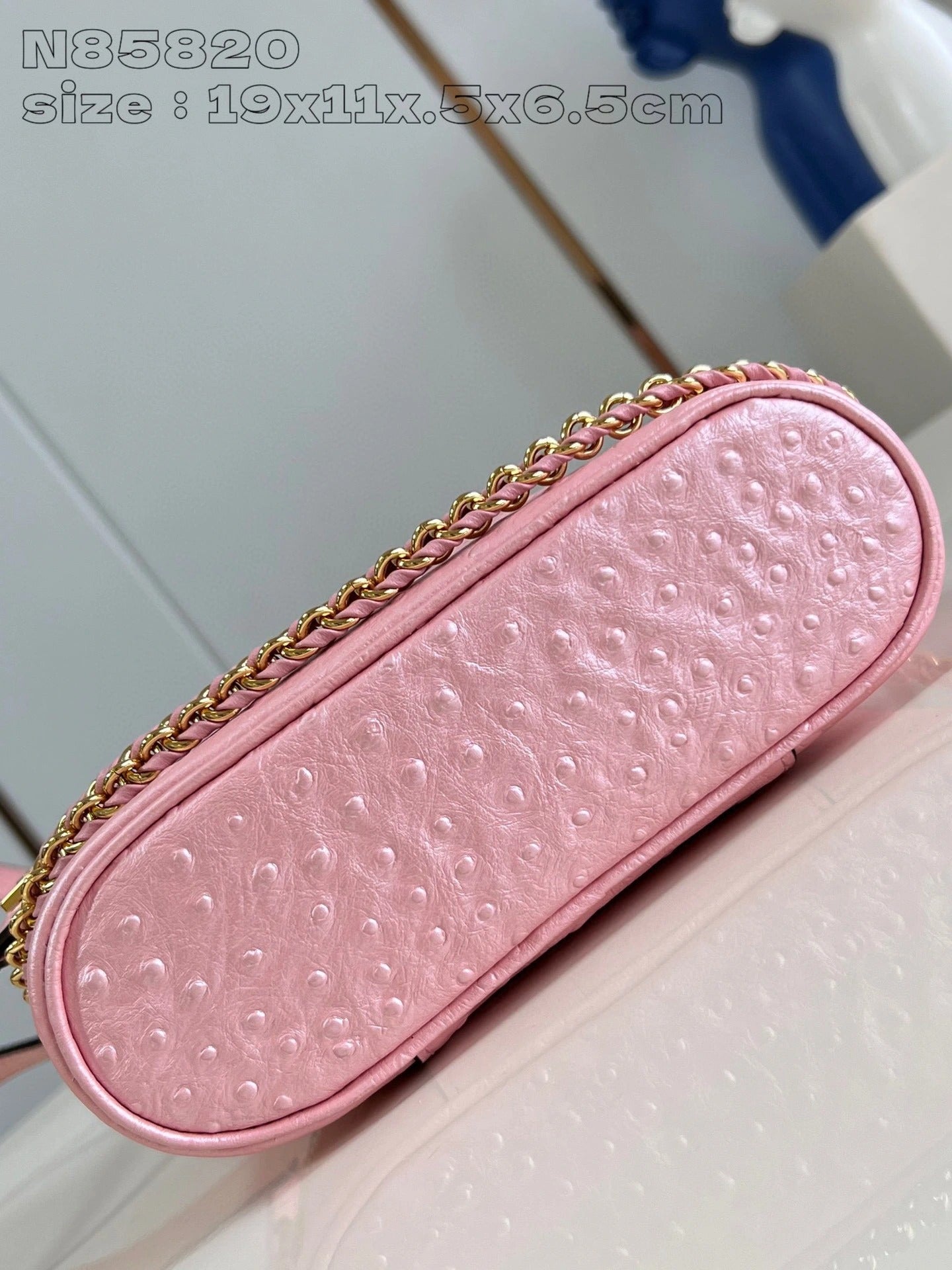 LOUIS VUITTON BAG