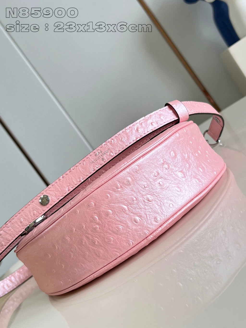 LOUIS VUITTON BAG