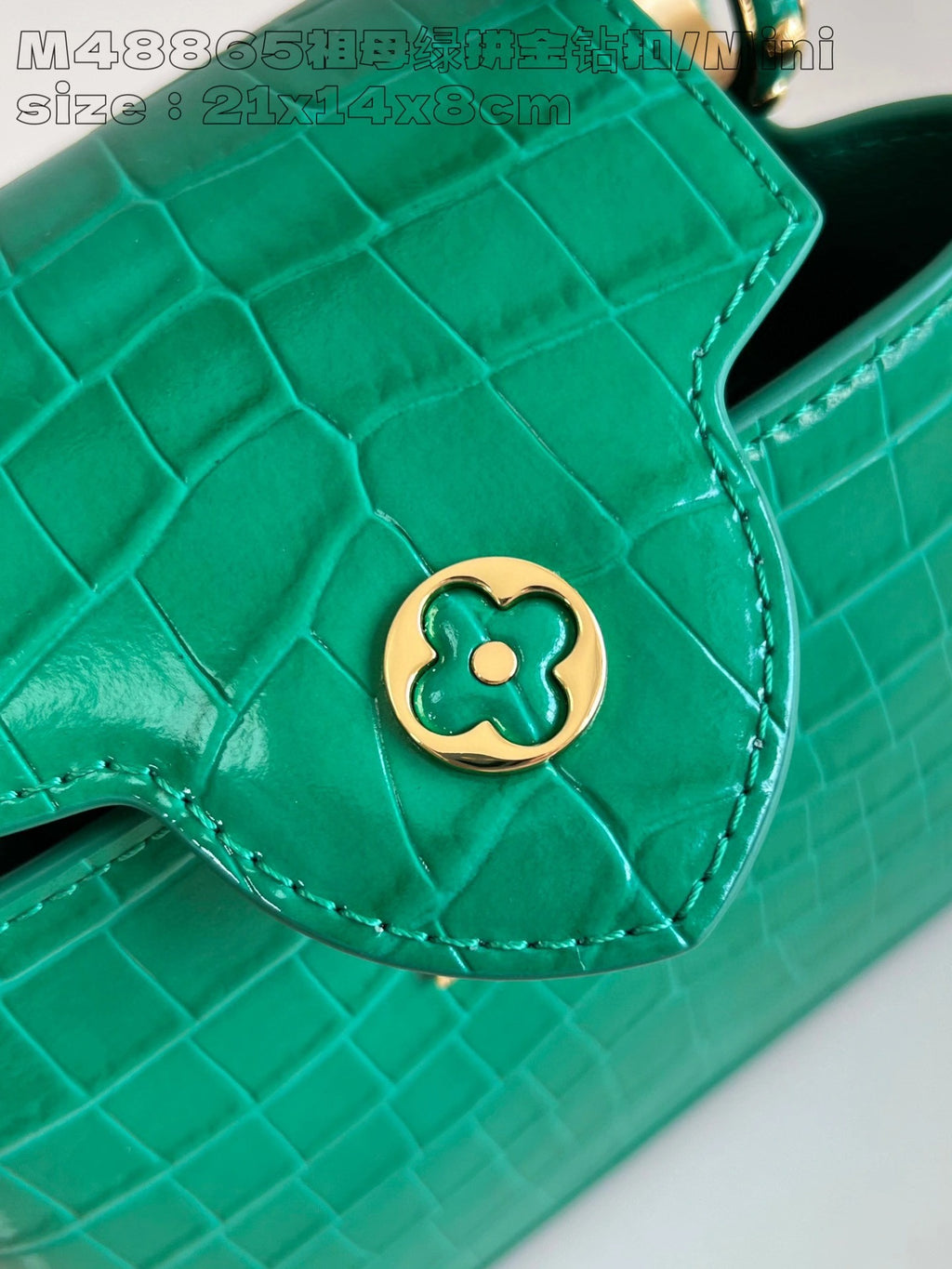 LOUIS VUITTON BAG