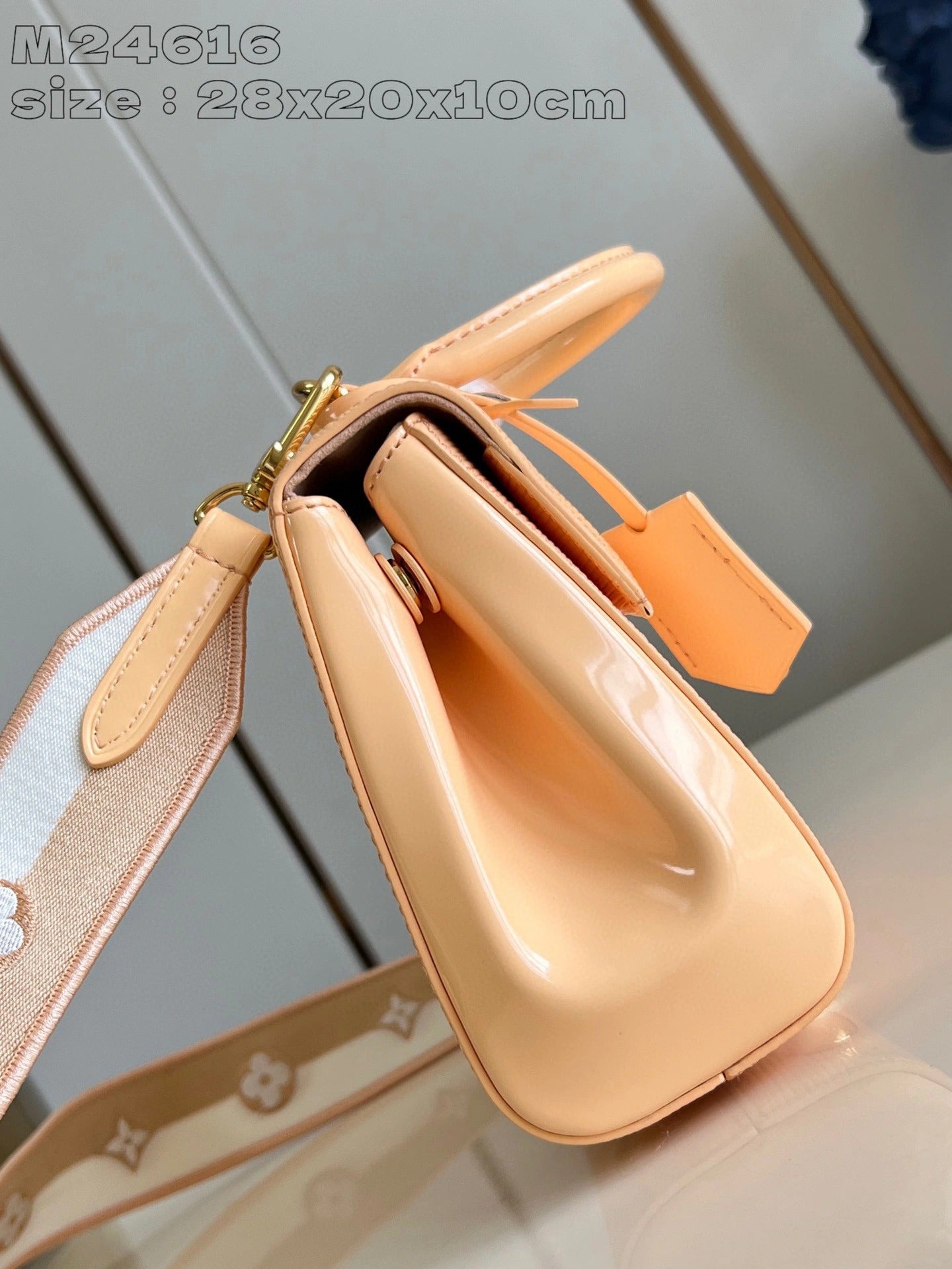 LOUIS VUITTON BAG