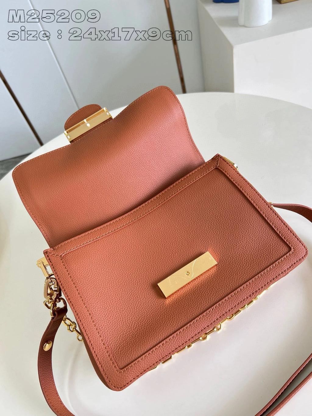 LOUIS VUITTON BAG