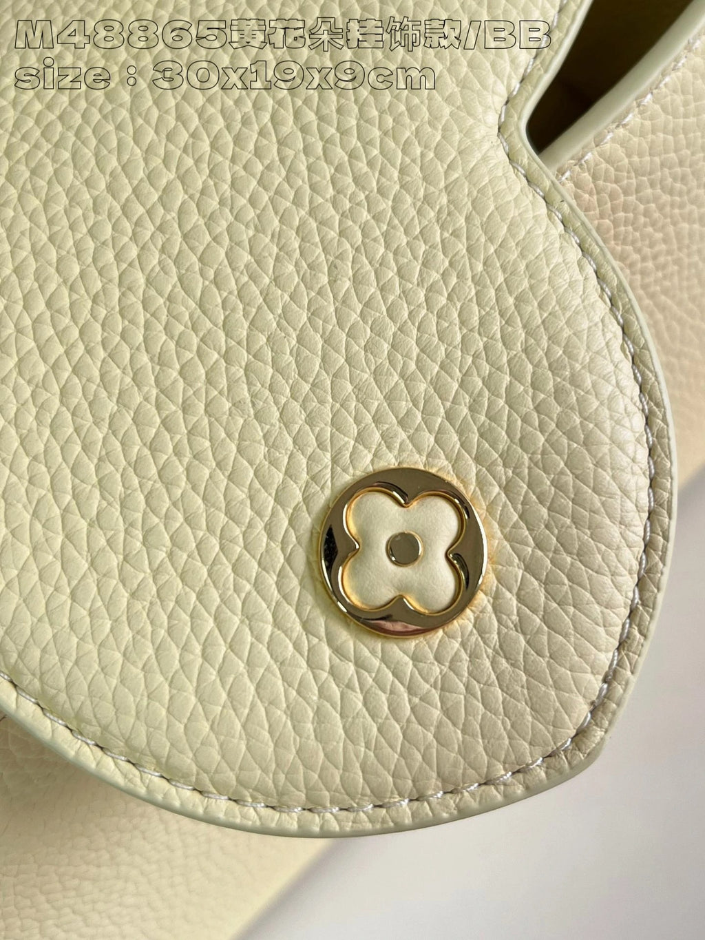 LOUIS VUITTON BAG