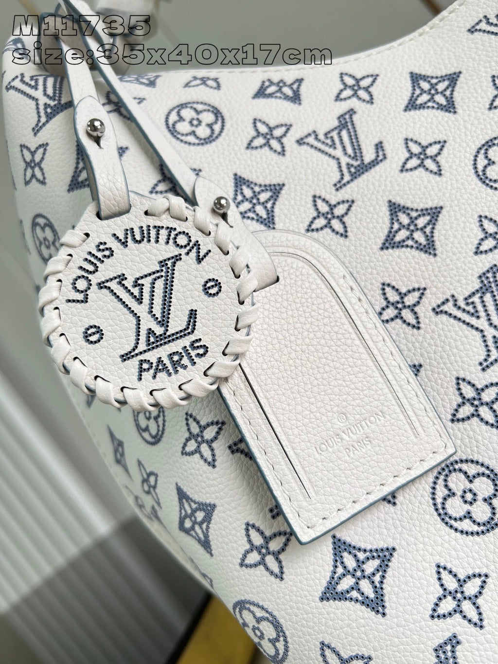 LOUIS VUITTON BAG