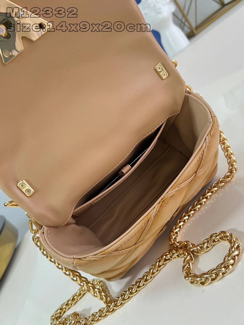 LOUIS VUITTON BAG