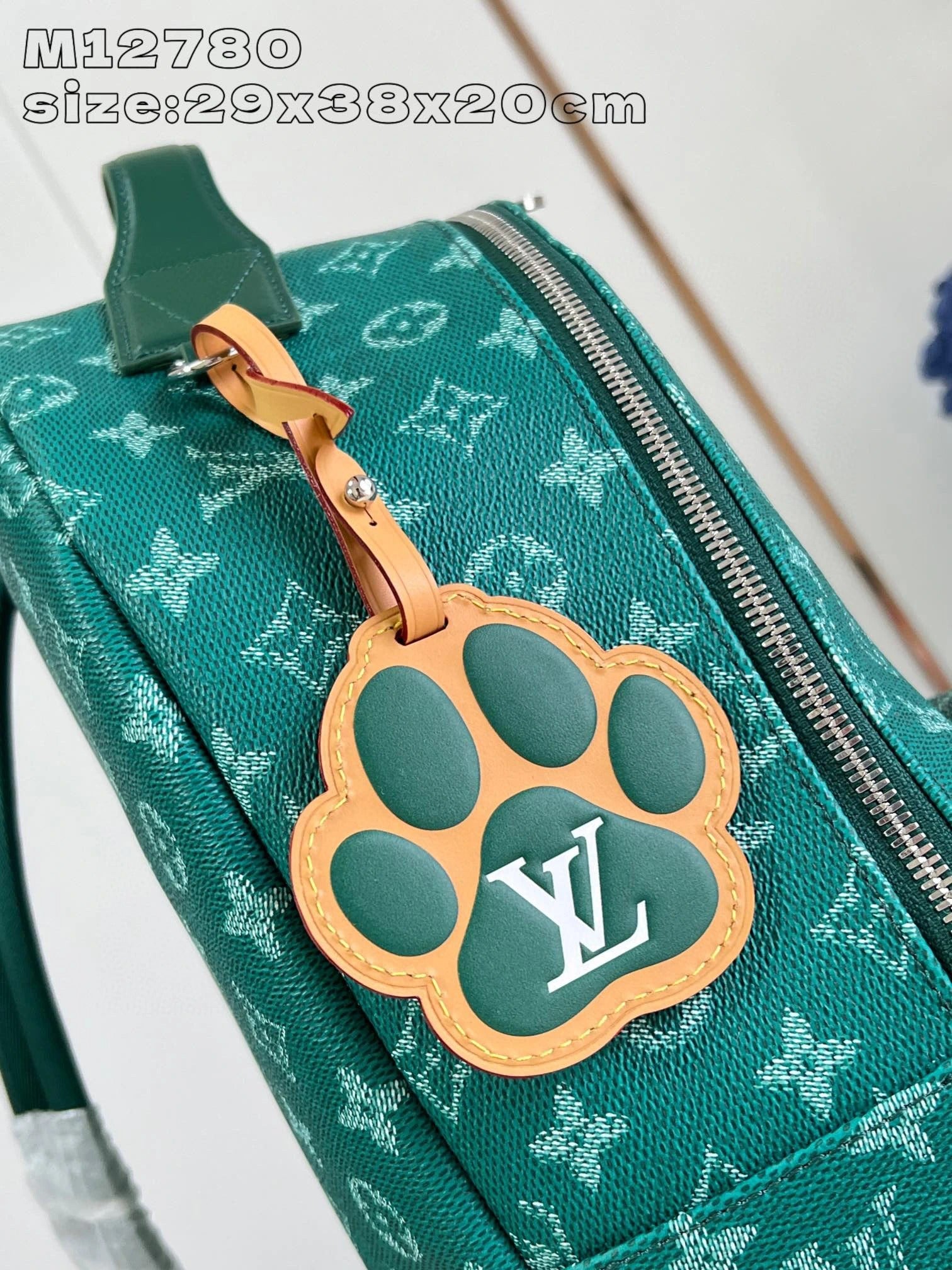 LOUIS VUITTON BAG