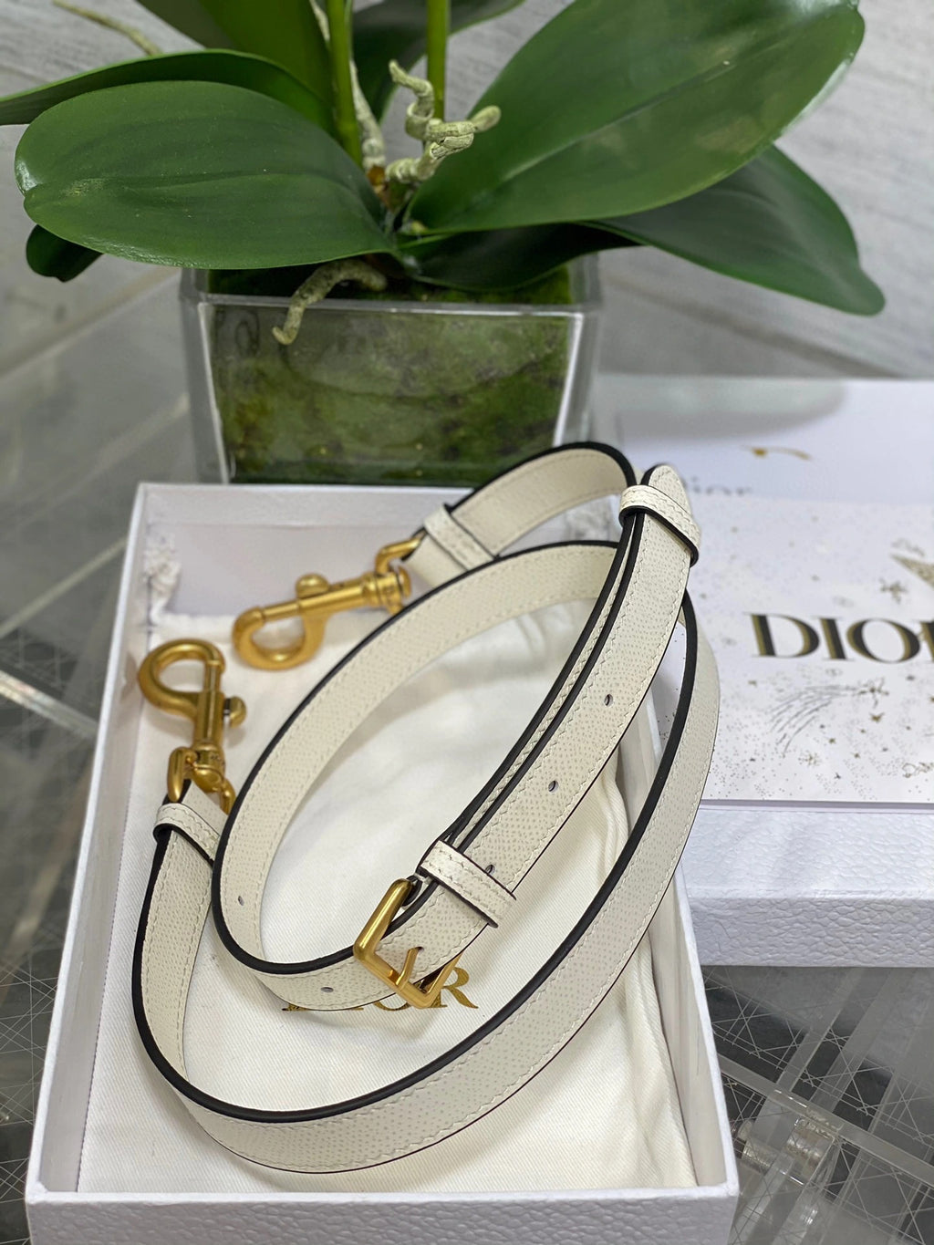 DIOR BAG