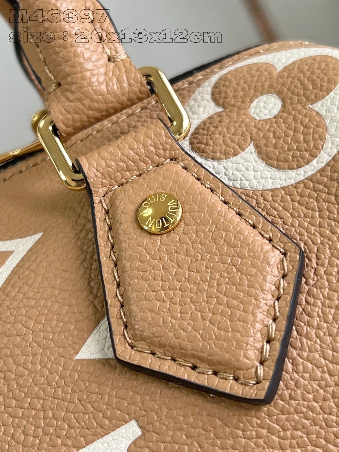 LOUIS VUITTON BAG