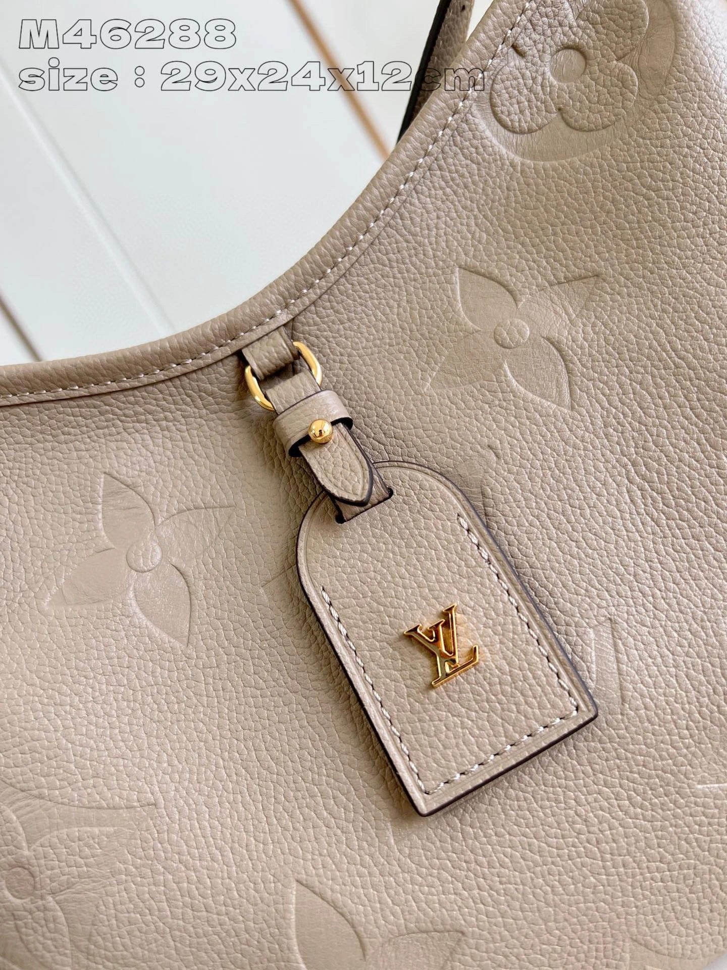 LOUIS VUITTON BAG