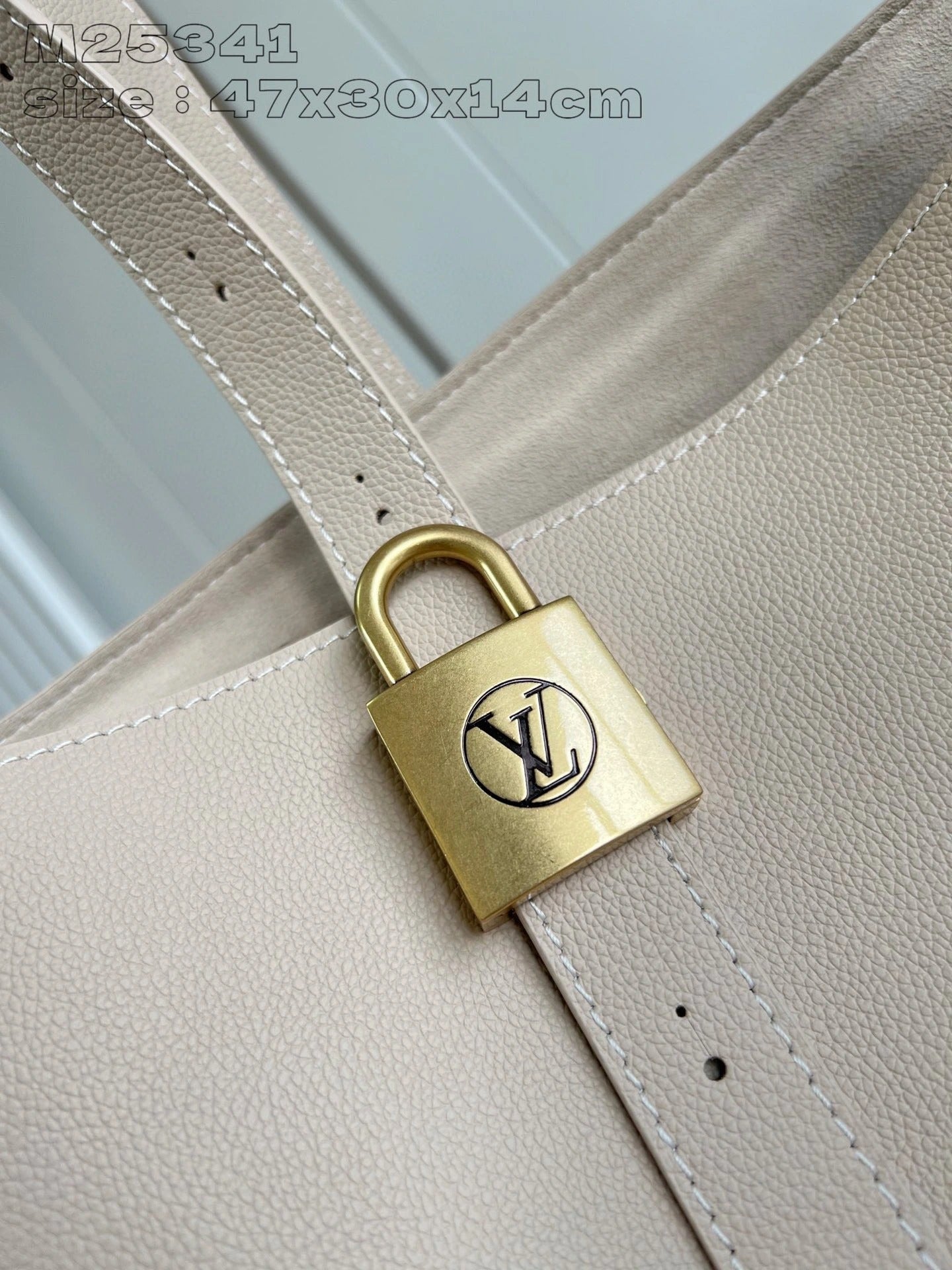 LOUIS VUITTON BAG