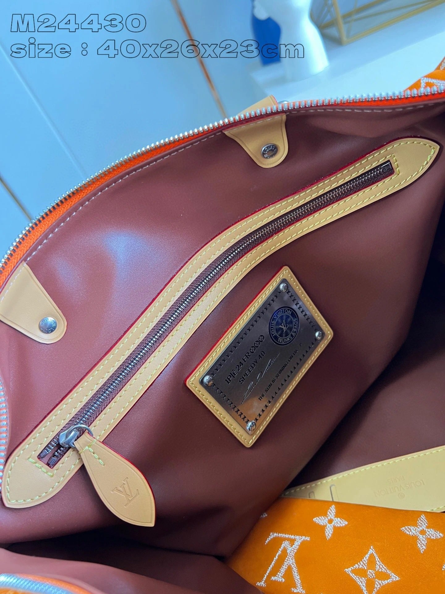 LOUIS VUITTON BAG