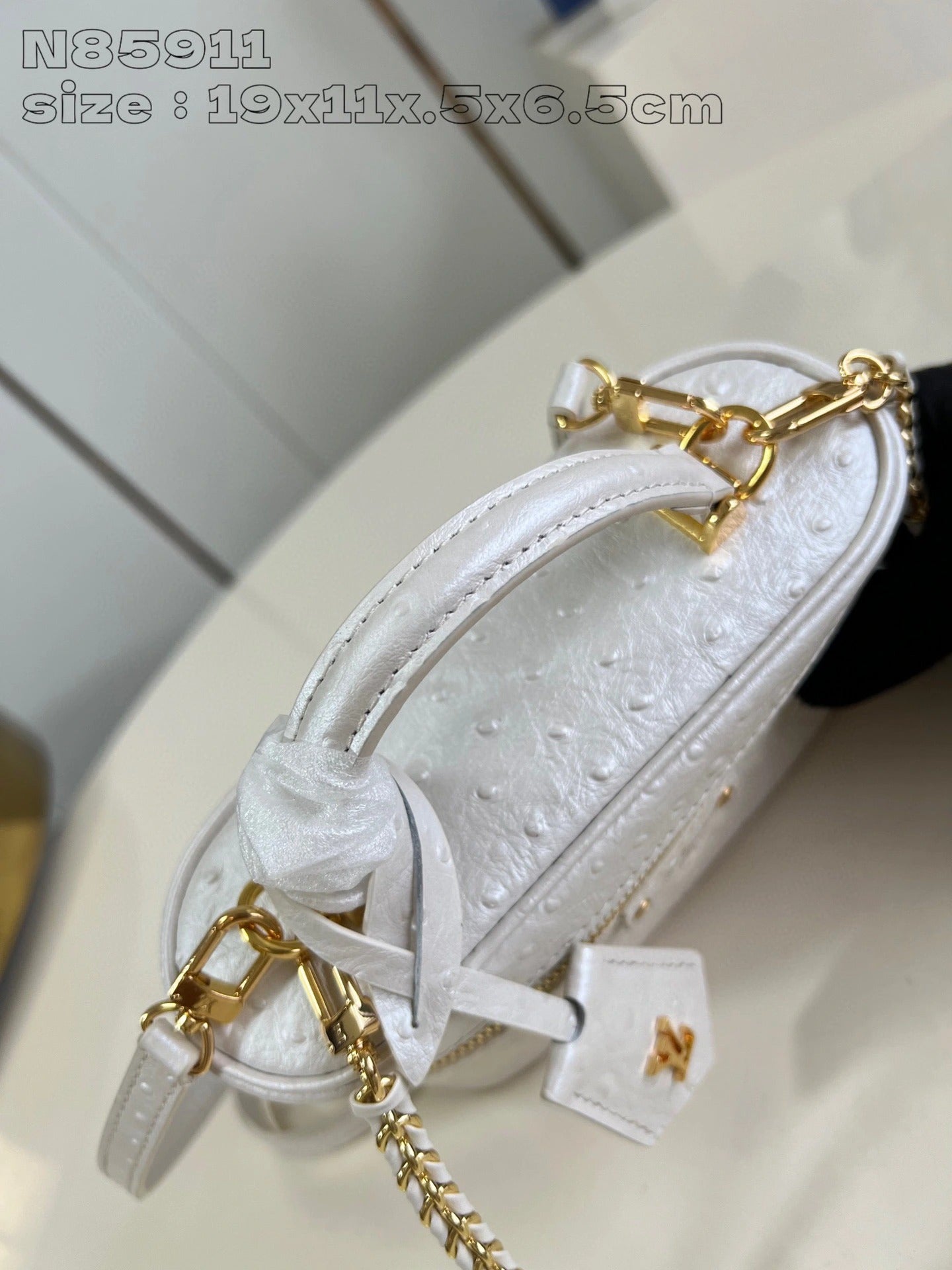 LOUIS VUITTON BAG