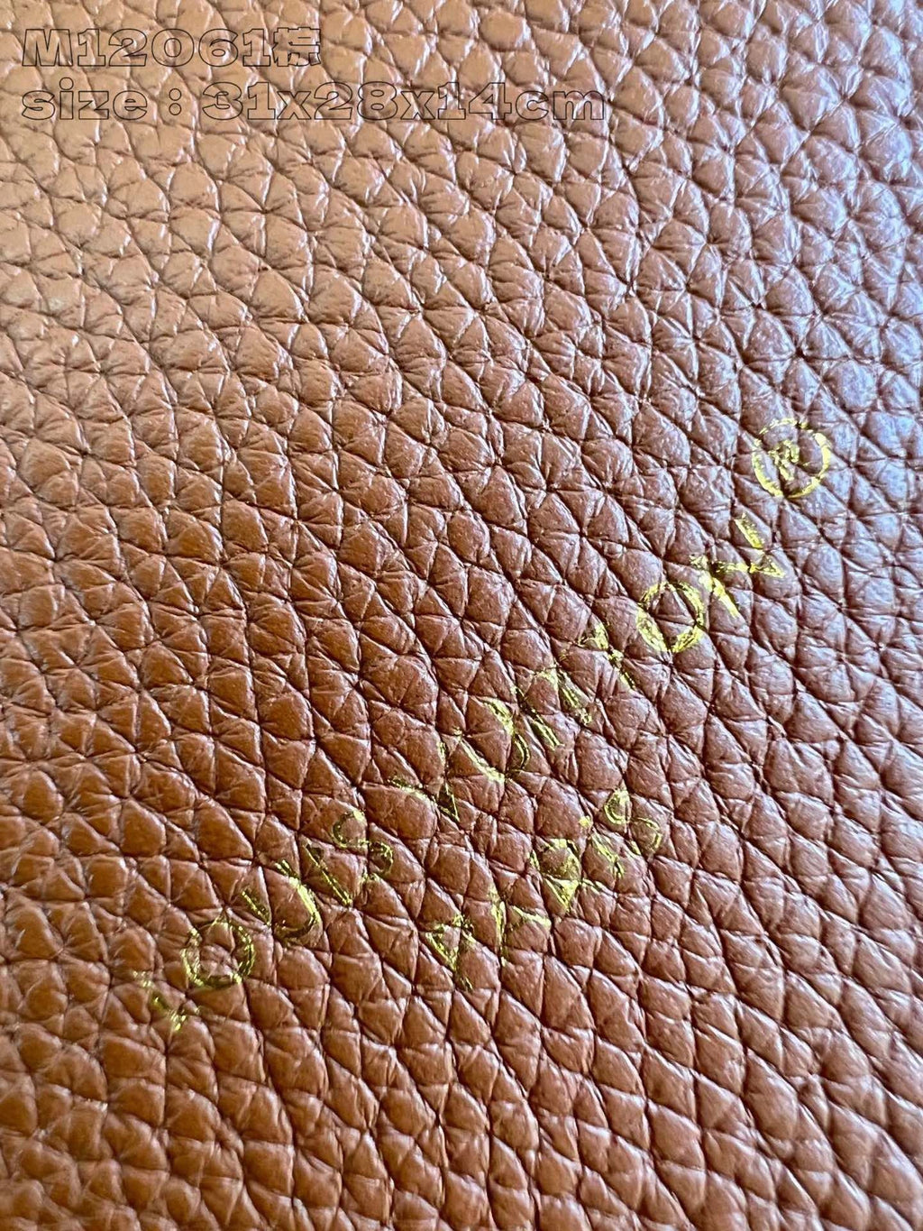 LOUIS VUITTON BAG