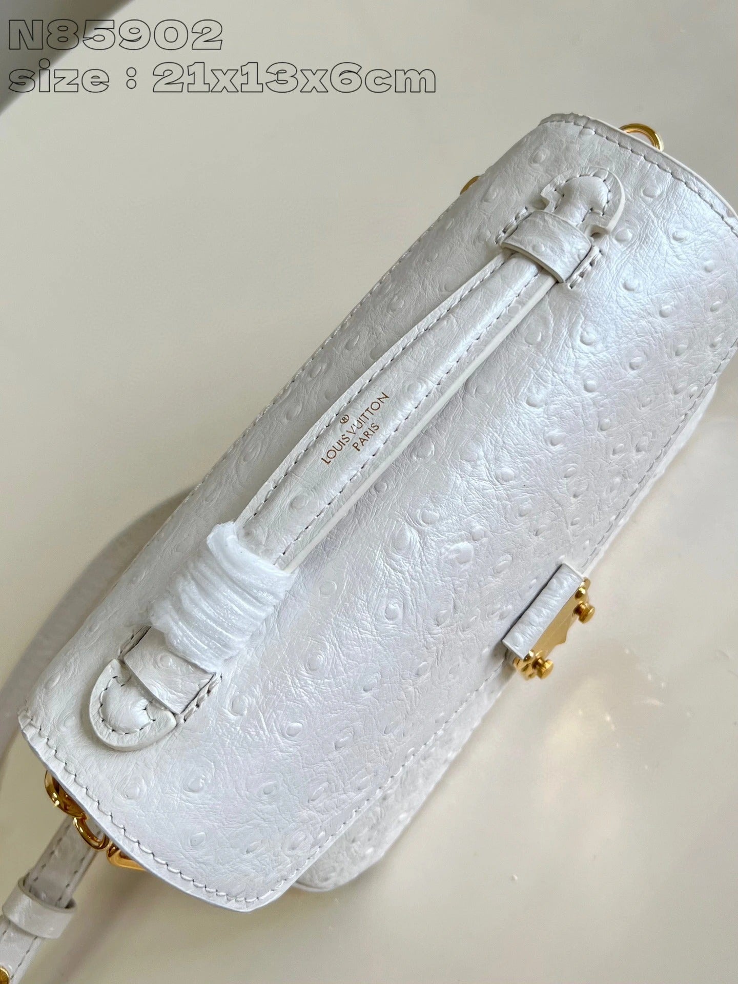 LOUIS VUITTON BAG