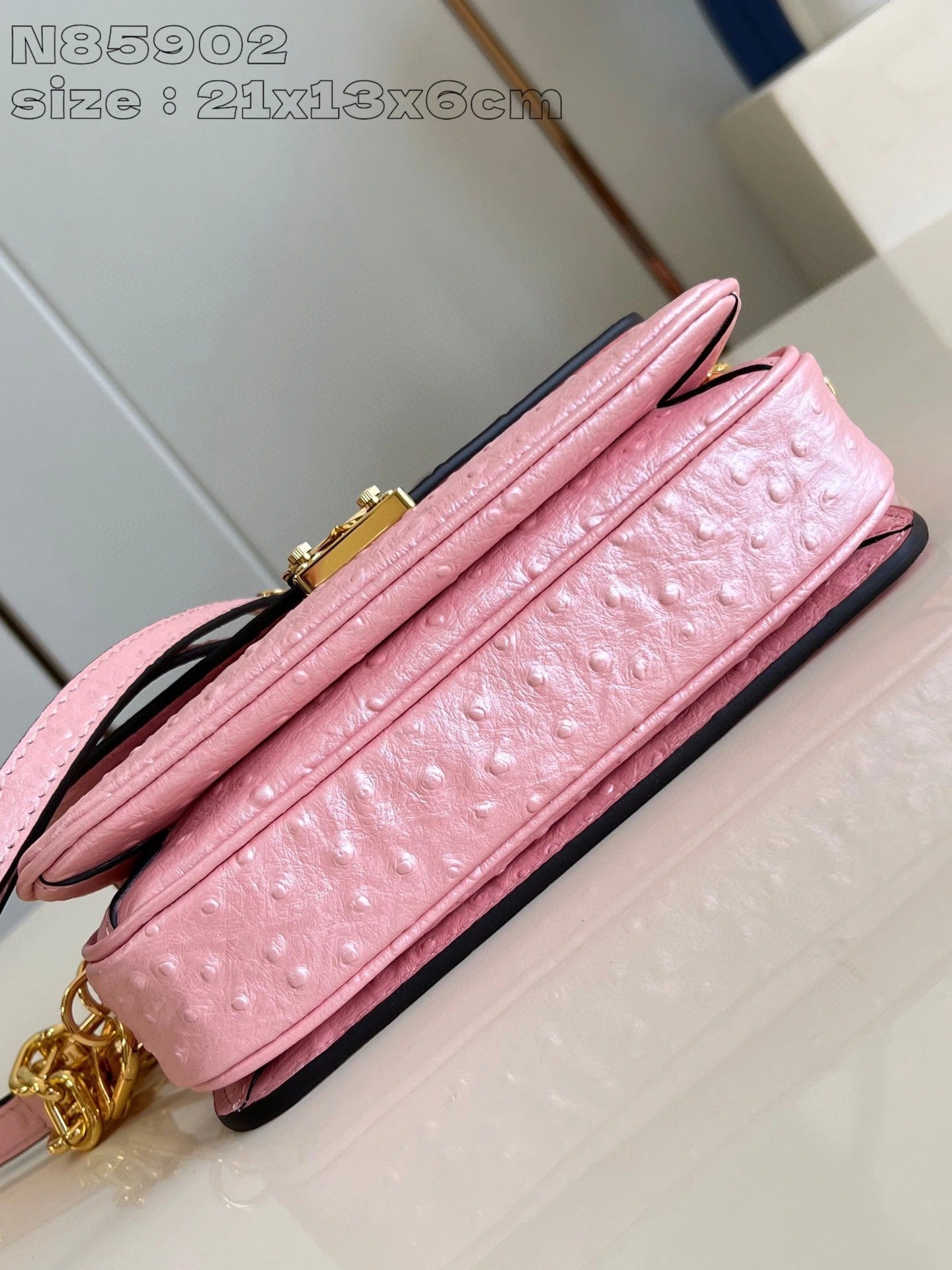LOUIS VUITTON BAG