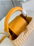 LOUIS VUITTON BAG