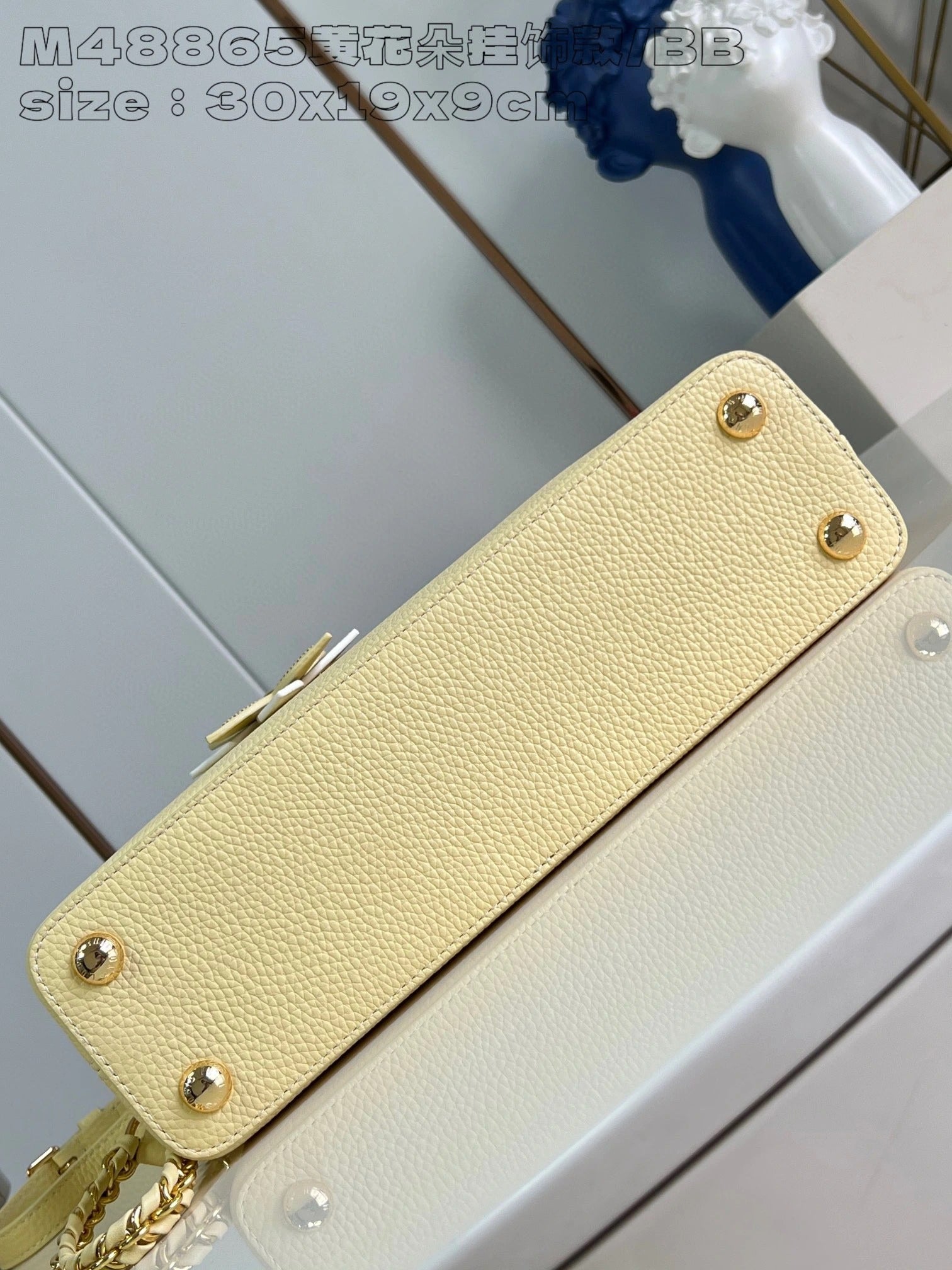 LOUIS VUITTON BAG