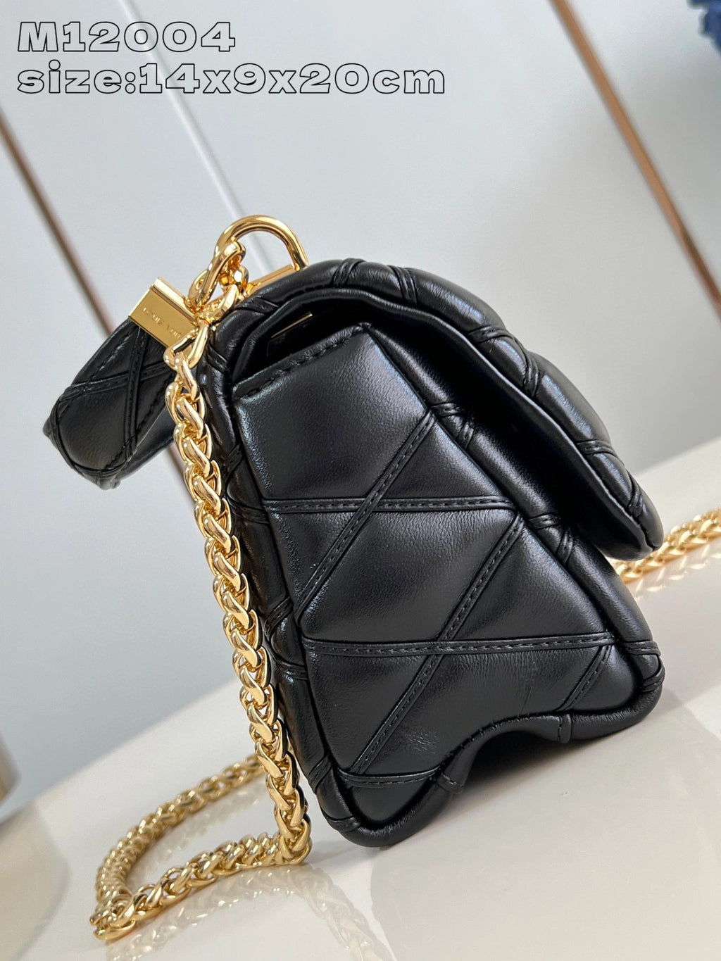 LOUIS VUITTON BAG