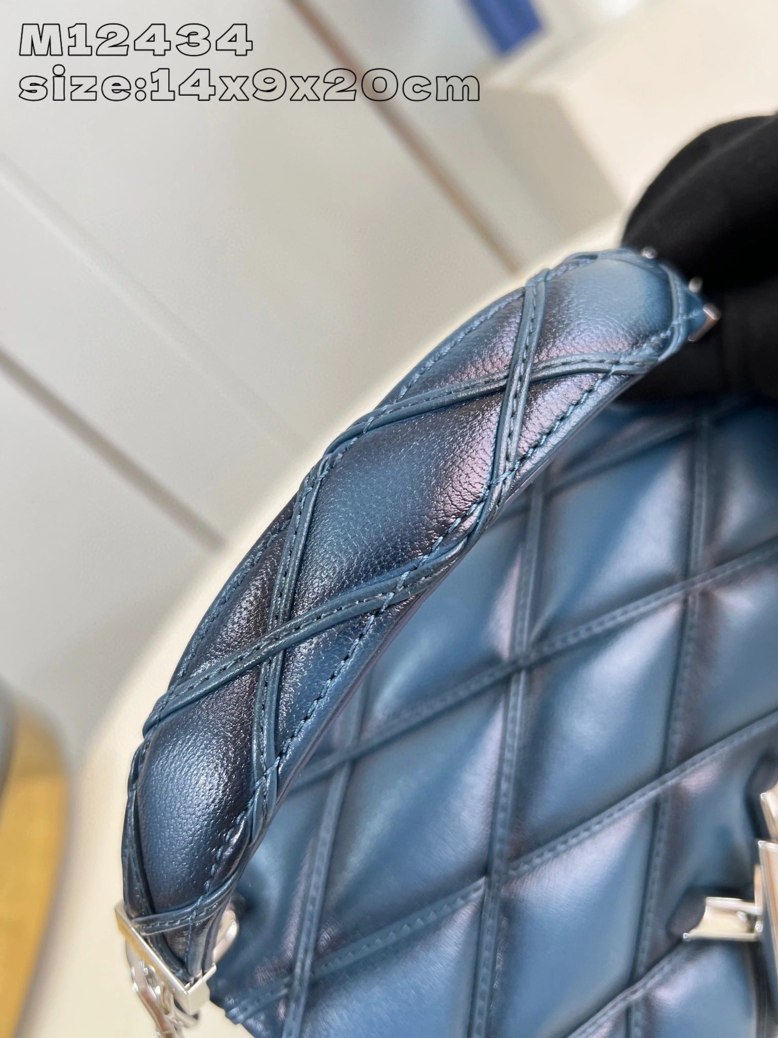 LOUIS VUITTON BAG