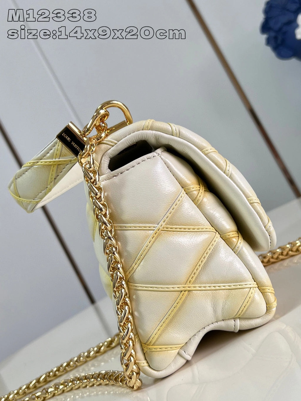 LOUIS VUITTON BAG