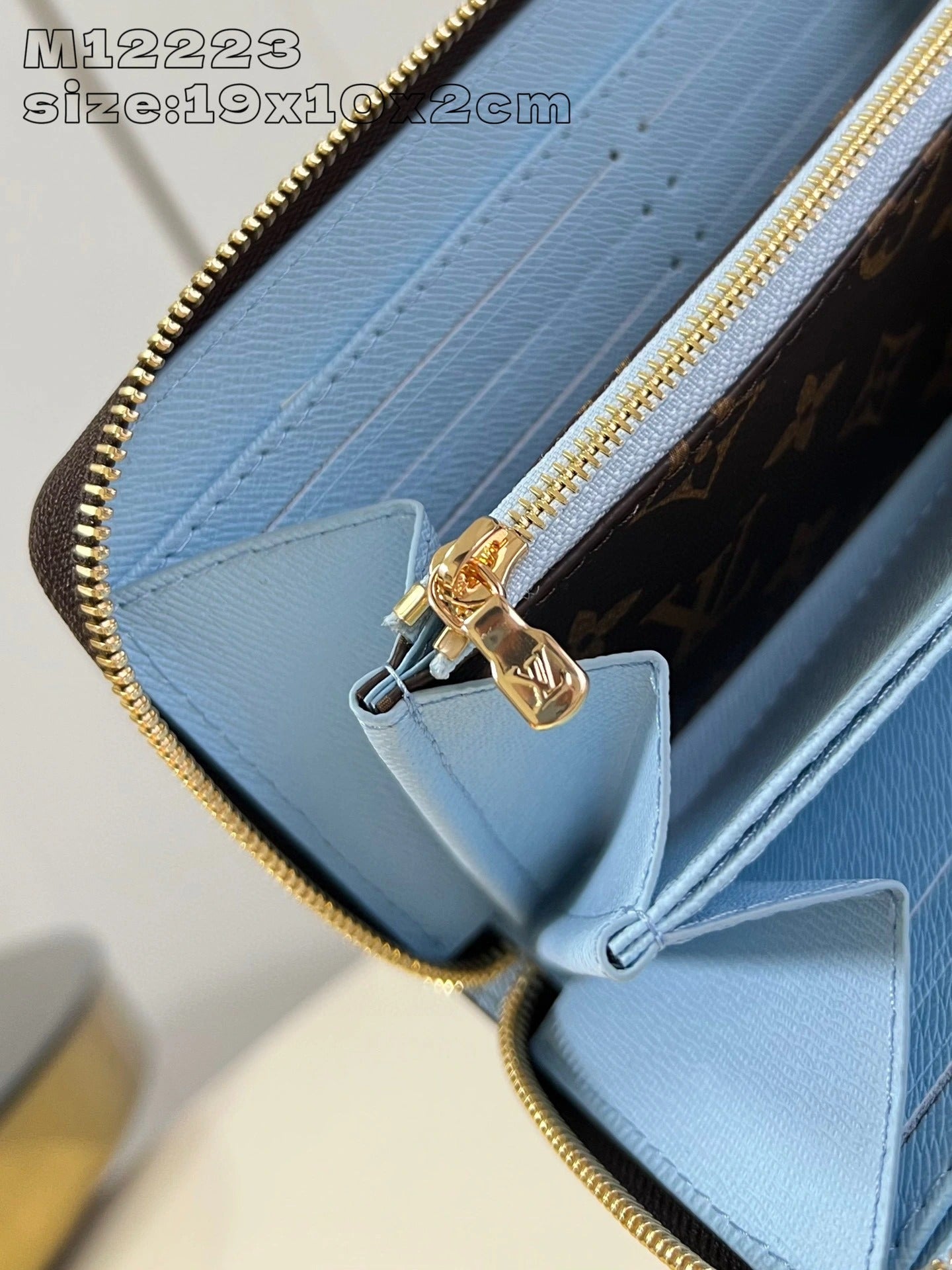 LOUIS VUITTON BAG